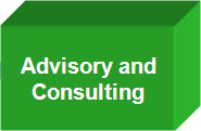 Advisory n Consulting